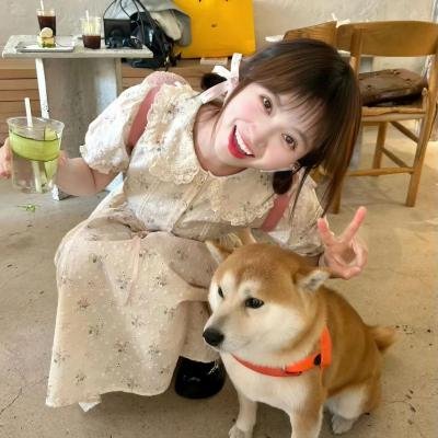 青春月谭