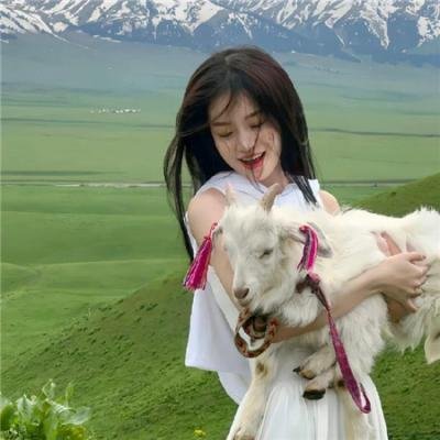 春蚕织梦